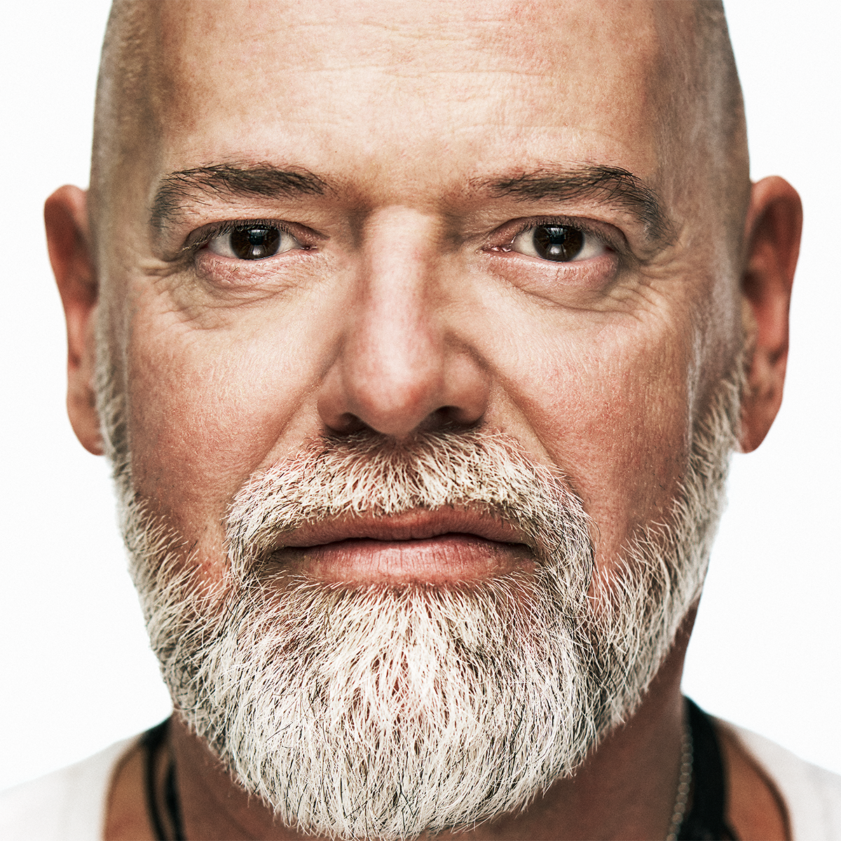 David Shorf